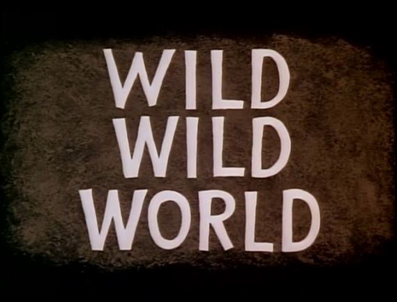 wild world documentary